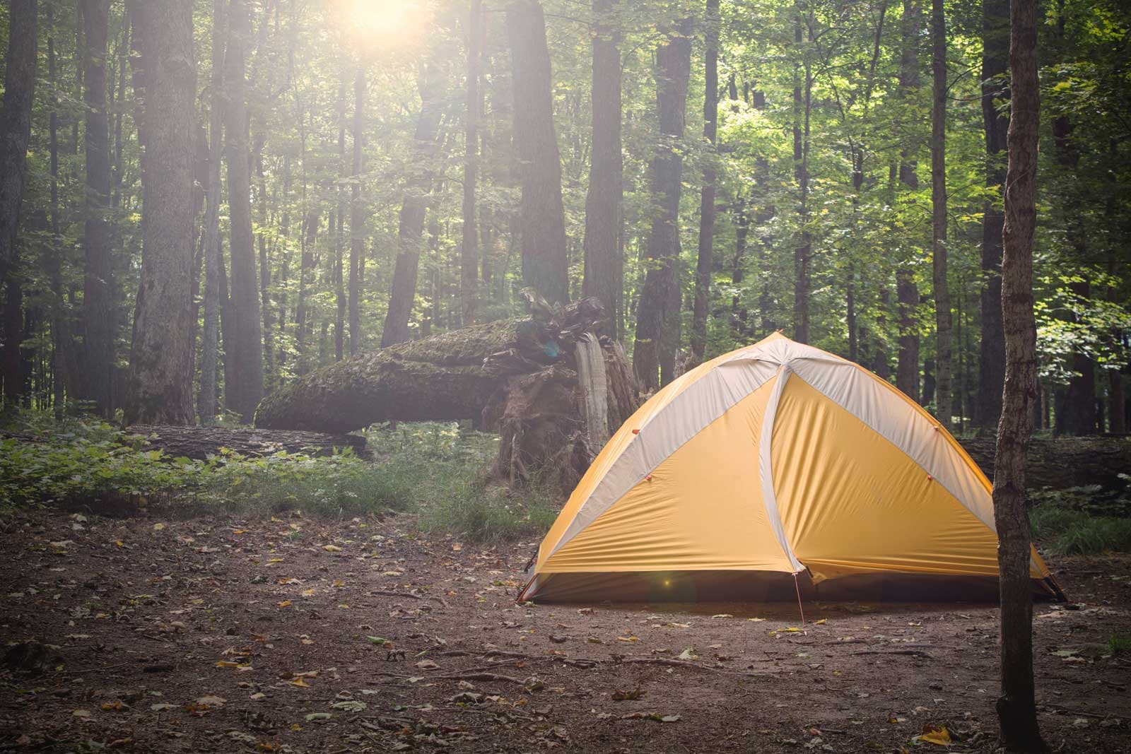Tent, image 1